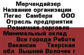 Мерчендайзер › Название организации ­ "Пегас" Самбери-3, ООО › Отрасль предприятия ­ Розничная торговля › Минимальный оклад ­ 23 500 - Все города Работа » Вакансии   . Тверская обл.,Вышний Волочек г.